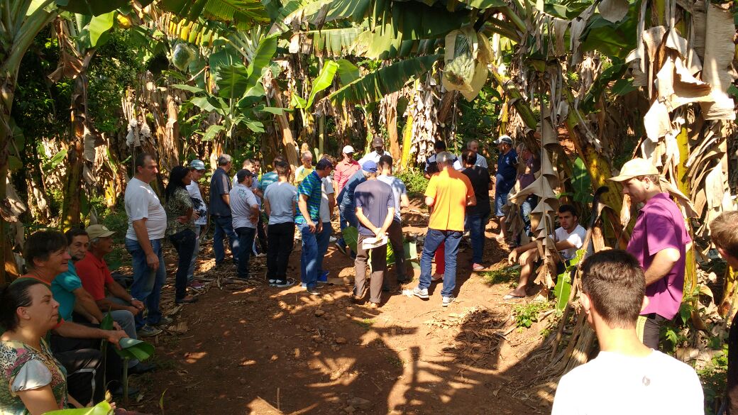 Alimentar Produtos Orgânicos, Dom Pedro de Alcântara RS